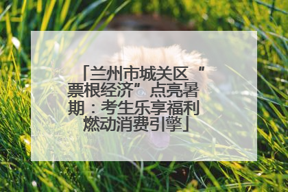 兰州市城关区“票根经济”点亮暑期：考生乐享福利 燃动消费引擎