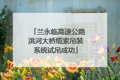 兰永临高速公路洮河大桥缆索吊装系统试吊成功