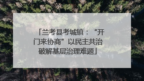 兰考县考城镇：“开门来协商”以民主共治破解基层治理难题