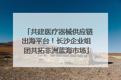 共建医疗器械供应链出海平台！长沙企业组团共拓非洲蓝海市场