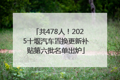 共478人！2025十堰汽车置换更新补贴第六批名单出炉