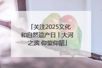 关注2025文化和自然遗产日丨大河之滨 仰望仰韶