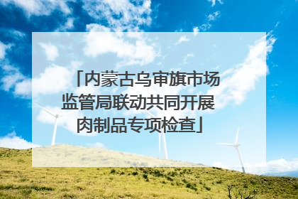 内蒙古乌审旗市场监管局联动共同开展肉制品专项检查