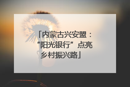 内蒙古兴安盟：“阳光银行”点亮乡村振兴路