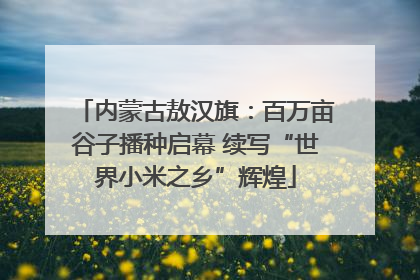 内蒙古敖汉旗：百万亩谷子播种启幕 续写“世界小米之乡”辉煌