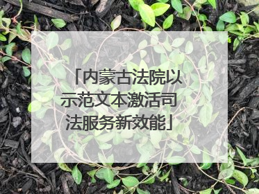内蒙古法院以示范文本激活司法服务新效能