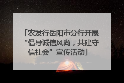 农发行岳阳市分行开展“倡导诚信风尚，共建守信社会”宣传活动