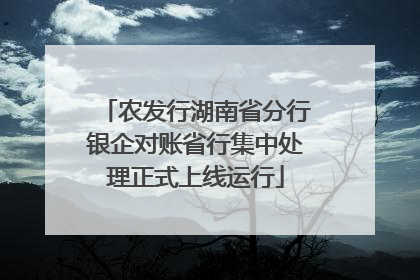 农发行湖南省分行银企对账省行集中处理正式上线运行
