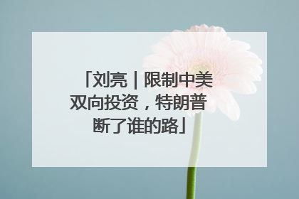 刘亮｜限制中美双向投资，特朗普断了谁的路