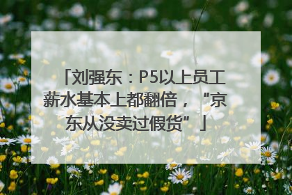 刘强东：P5以上员工薪水基本上都翻倍，“京东从没卖过假货”