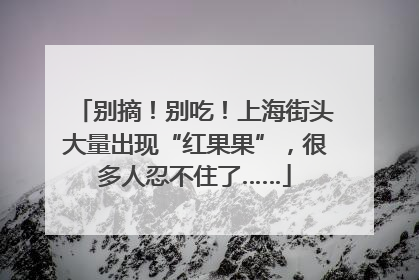 别摘！别吃！上海街头大量出现“红果果”，很多人忍不住了……