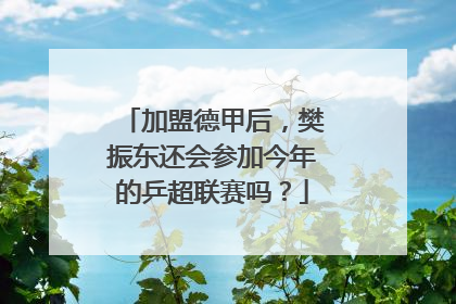 加盟德甲后，樊振东还会参加今年的乒超联赛吗？