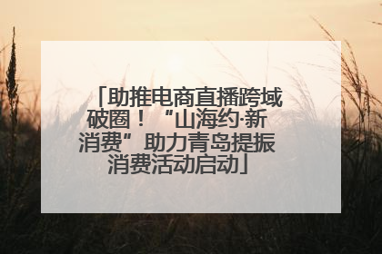 助推电商直播跨域破圈！“山海约·新消费”助力青岛提振消费活动启动