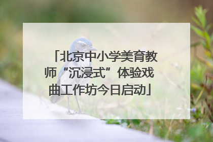 北京中小学美育教师“沉浸式”体验戏曲工作坊今日启动