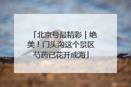 北京号最精彩｜绝美！门头沟这个景区芍药已花开成海