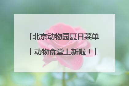 北京动物园夏日菜单丨动物食堂上新啦！