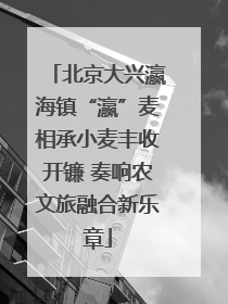北京大兴瀛海镇“瀛”麦相承小麦丰收开镰 奏响农文旅融合新乐章