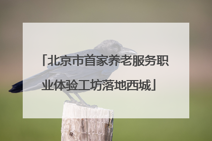 北京市首家养老服务职业体验工坊落地西城