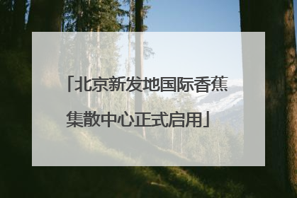 北京新发地国际香蕉集散中心正式启用