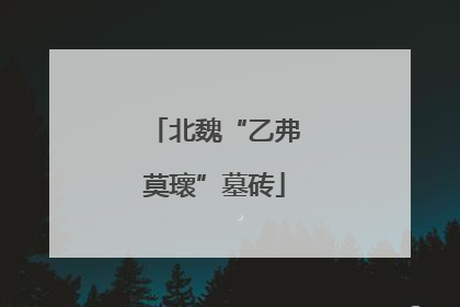北魏“乙弗莫瓌”墓砖