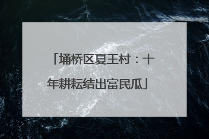 埇桥区夏王村：十年耕耘结出富民瓜