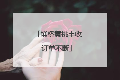 埇桥黄桃丰收 订单不断