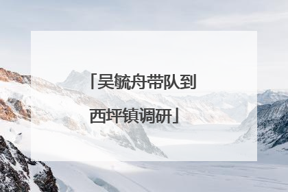 吴毓舟带队到西坪镇调研