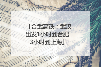 合武高铁：武汉出发1小时到合肥3小时到上海