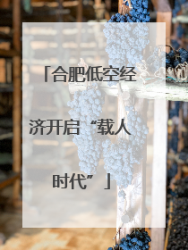 合肥低空经济开启“载人时代”