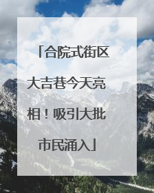 合院式街区大吉巷今天亮相！吸引大批市民涌入