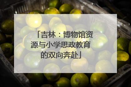 吉林：博物馆资源与小学思政教育的双向奔赴