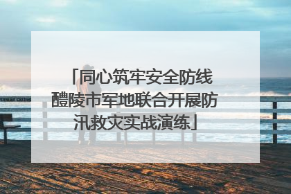 同心筑牢安全防线 醴陵市军地联合开展防汛救灾实战演练