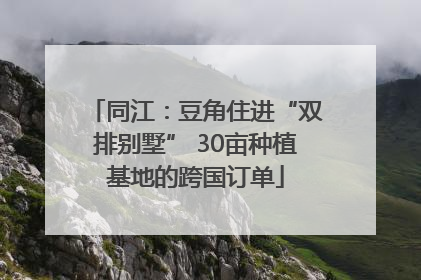 同江：豆角住进“双排别墅” 30亩种植基地的跨国订单