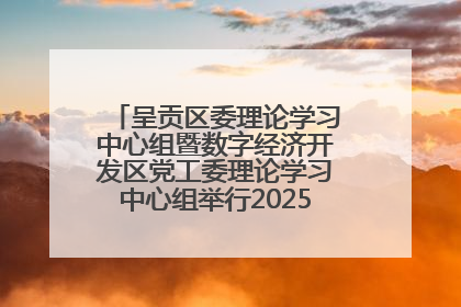呈贡区委理论学习中心组暨数字经济开发区党工委理论学习中心组举行2025年第七次学习会议
