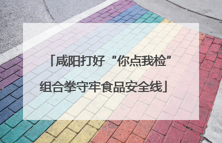 咸阳打好“你点我检”组合拳守牢食品安全线