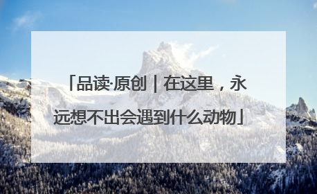 品读·原创｜在这里，永远想不出会遇到什么动物