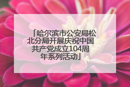 哈尔滨市公安局松北分局开展庆祝中国共产党成立104周年系列活动