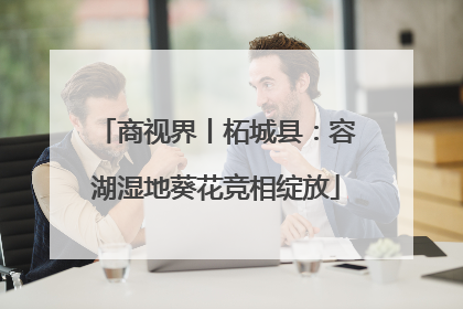 商视界丨柘城县：容湖湿地葵花竞相绽放