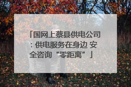 国网上蔡县供电公司：供电服务在身边 安全咨询“零距离”