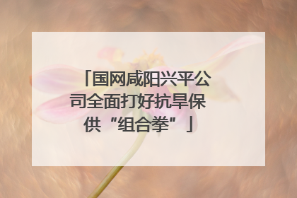 国网咸阳兴平公司全面打好抗旱保供“组合拳”