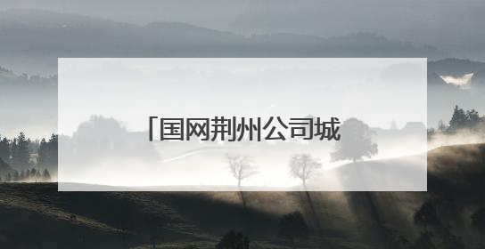 国网荆州公司城区供电中心开展安全用电宣传活动