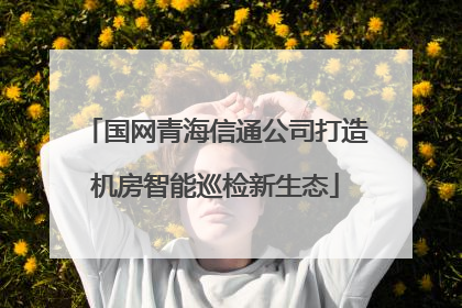 国网青海信通公司打造机房智能巡检新生态