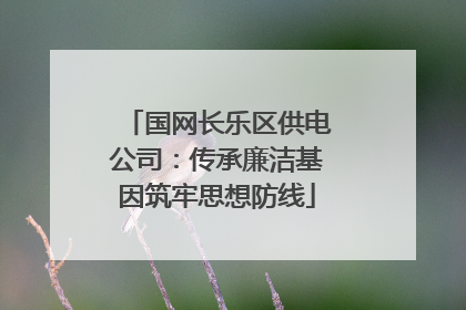 国网长乐区供电公司：传承廉洁基因筑牢思想防线