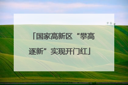 国家高新区“攀高逐新”实现开门红