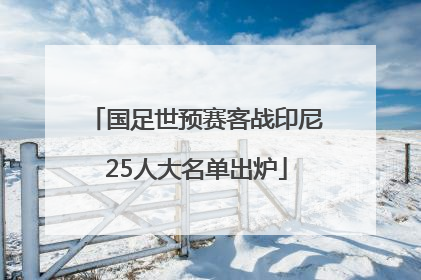 国足世预赛客战印尼25人大名单出炉