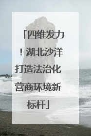 四维发力！湖北沙洋打造法治化营商环境新标杆