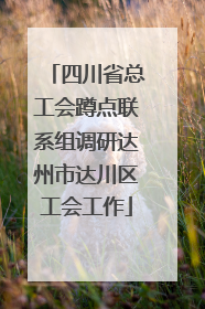 四川省总工会蹲点联系组调研达州市达川区工会工作