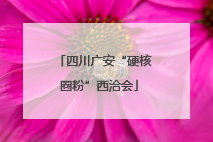 四川广安“硬核圈粉”西洽会