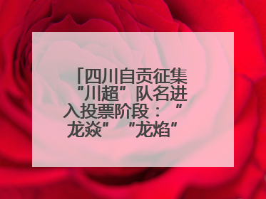 四川自贡征集“川超”队名进入投票阶段：“龙焱”“龙焰”暂居一二名