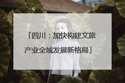 四川：加快构建文旅产业全域发展新格局